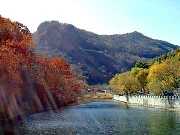 澳门天天免费精准大全，三轮车油电控制器